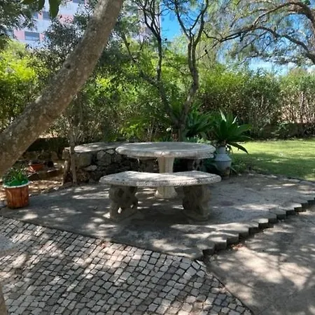 Apartamento Palmeira - Alvor