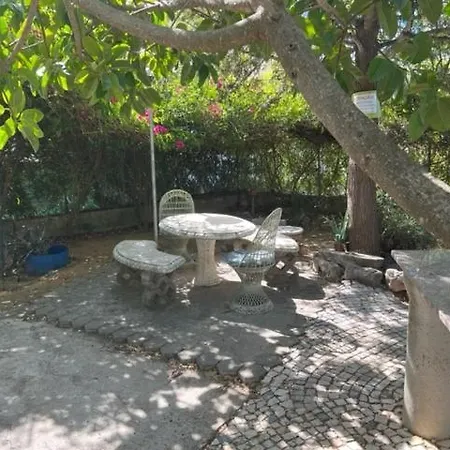公寓 Apartamento Palmeira - Alvor